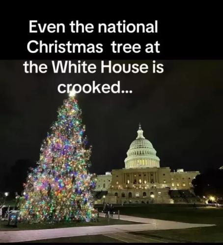Crooked Christmas Tree