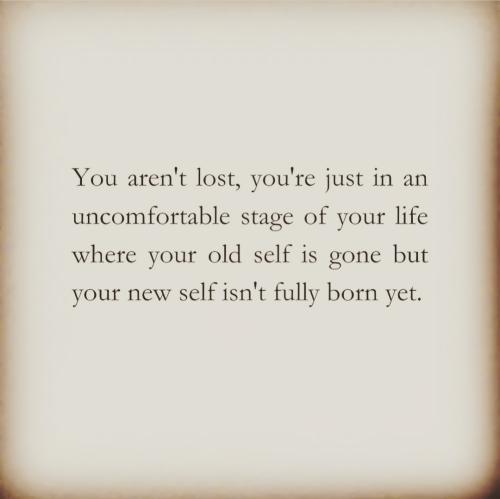 IMG_20231227_043327_686