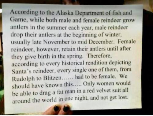 75625294_2967168326648296_3138423214112243712_n