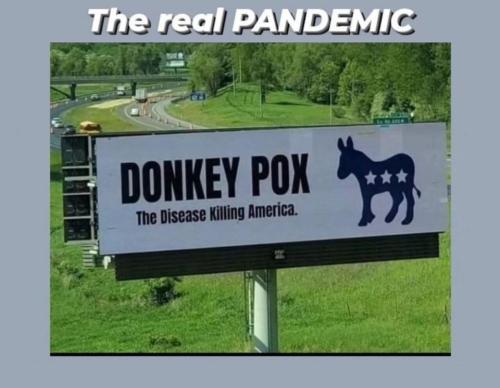Donkey pox960px