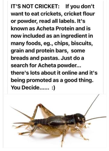 FB_IMG_1703378412667