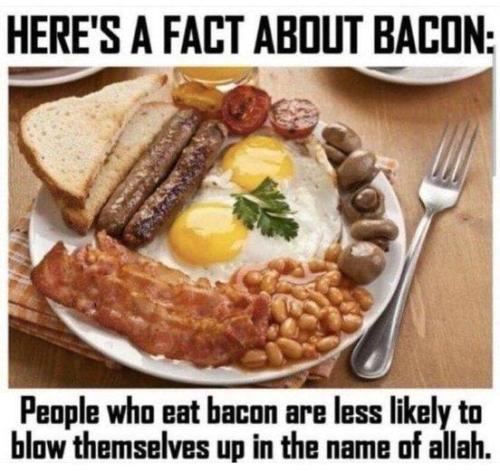 BACON