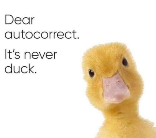 sngine_a0855fa5cea4721f7ddde5c0433fec24