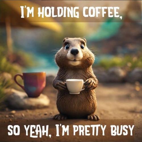 410590167_374965515078311_7826831672327067680_n