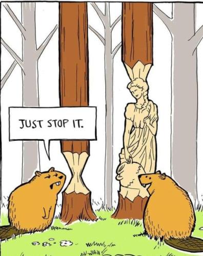 405709694_315221268133338_540437689599393035_n