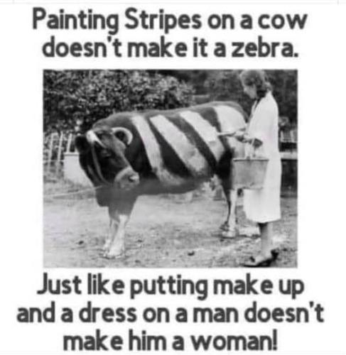 404597739_324207297073211_5172070160862676328_n