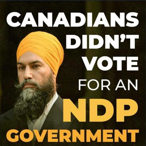 didnt vote for  NDP
