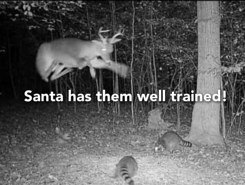 GridArt_20231215_215759782