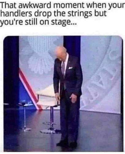 d49b56e1-43ba-40d5-a873-f6ed0a6434fc