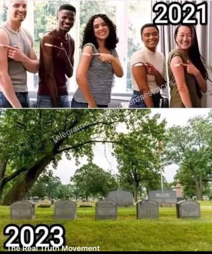 FB_IMG_1703431504726