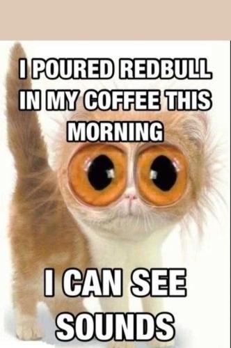 411137013_7656652817682203_2809975096259423024_n