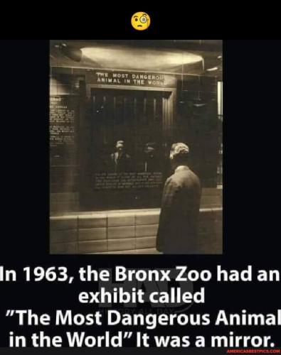 5bfd8086a2b8516f80d315e39a2d4748bd0b9fa84fbedeeecc94f30a22c761af_1