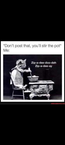 Screenshot_20231102-115836_Gallery