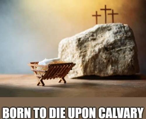 184309bc-6549-484e-885b-b4b5ff6ceceb