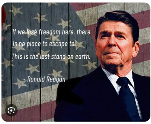 Screenshot_20231229-133407_Google