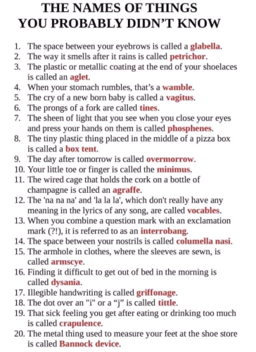 Screenshot_2023-09-11-21-33-22_kindlephoto-485620130