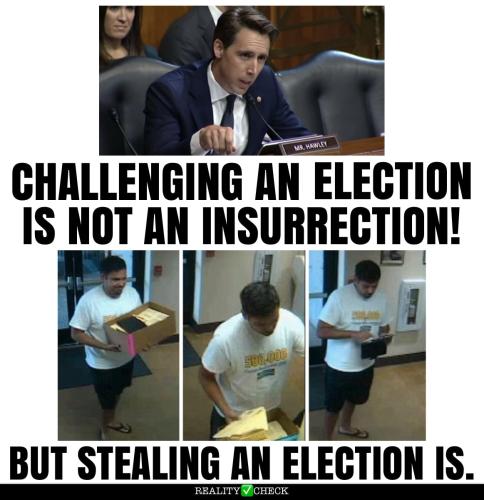 stealing election