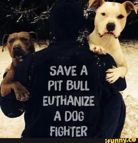 d9bd463ed5213e3a09bc33dd4348f5e7c8d3a89197a2c07473183eeb2be3fc63_1