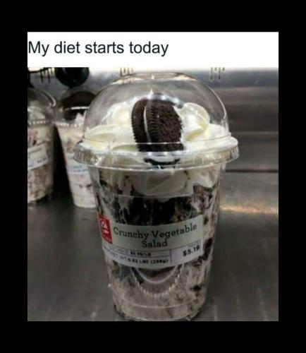 diet starts today
