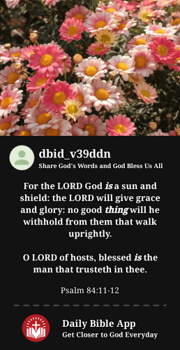 2023-12-081702046544207