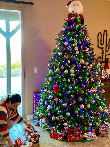 5A60E968-3757-4038-A4E9-D921E9764354