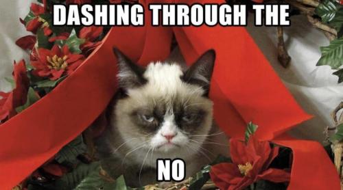 406841590_2429696217202580_1671184295393365223_n