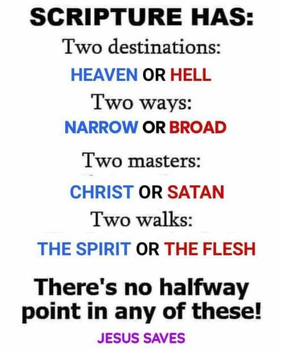 7e515341-5839-48aa-80b0-fa20b7a9504a