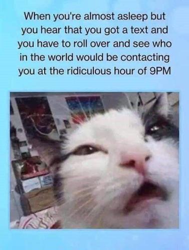 sngine_23aff61a1da441ab550ab54f1001ae75