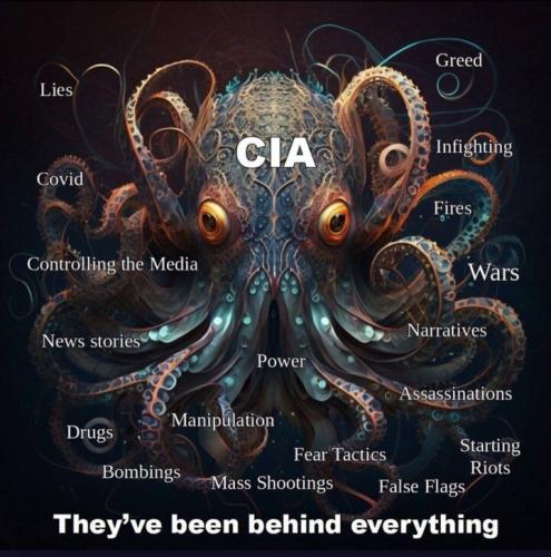 CIA 1