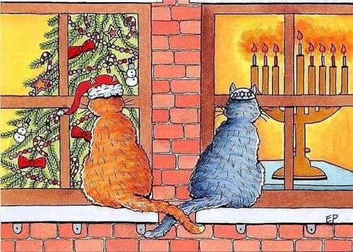 410494267_736683368501099_4134509649263743434_n