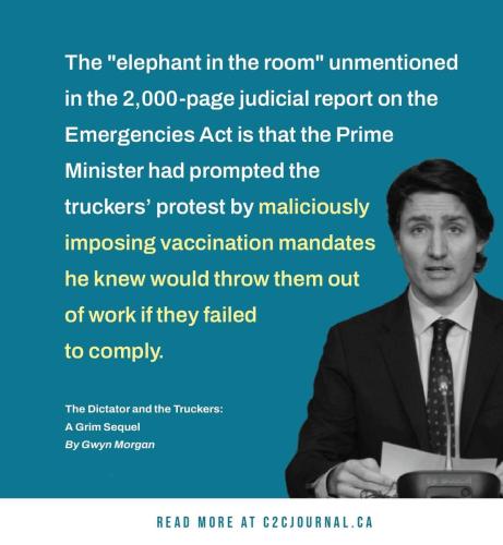 elephant in the room