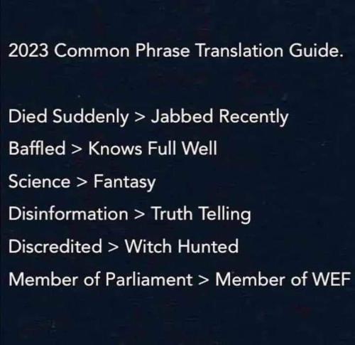 FB_IMG_1701823594795