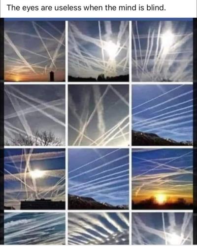 Screenshot_20231221_161936_Facebook