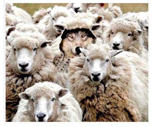 FB_IMG_1701391589733