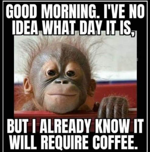 415050505_3635042990102121_4021054513579790499_n