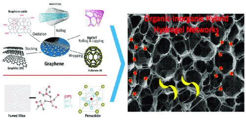 Illustration-of-potential-nanofillers-such-as-0D-fullerene-C60-1D-small-walled-carbon