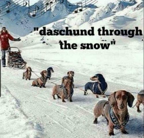 FB_IMG_1702246412393