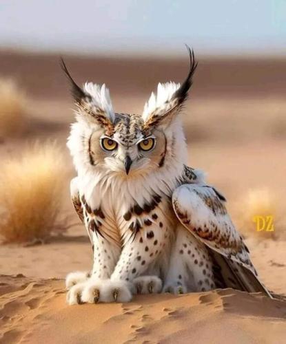 White Horned Owl
