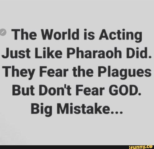 e4598f40-02b3-4dbf-8dda-c5f779d2809c