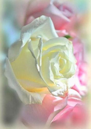 ,                GAkHyqHWIAACt_pp