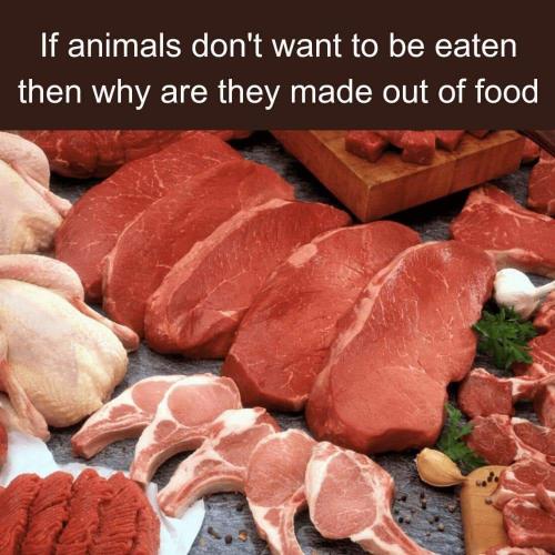 FB_IMG_1702225521337