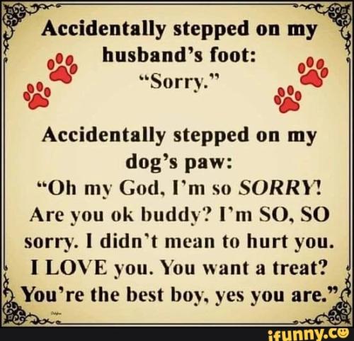 Resized_sngine_a7bbf5334e67b9b87d89ad05f4ac042e