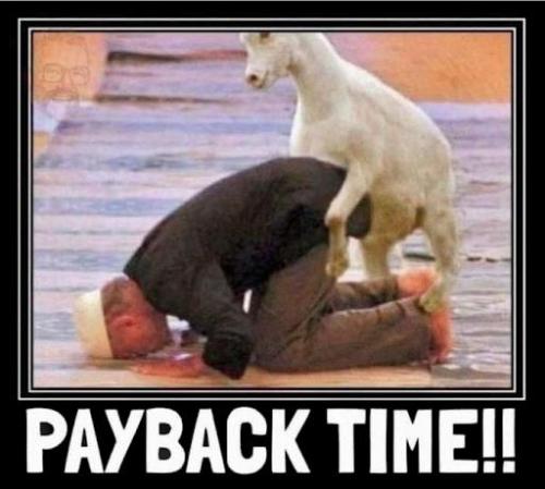 Goatshagger Payback time