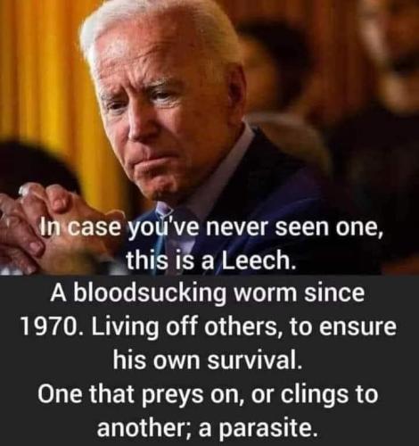 409098839_342035821883977_1968304669355799228_n