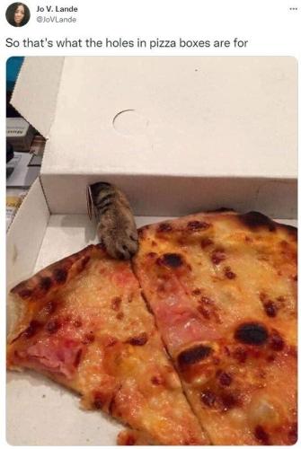 a96cbc216b78b5944026c4a32b95c8c0