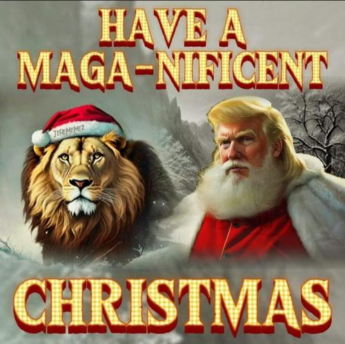 FB_IMG_1702583635551