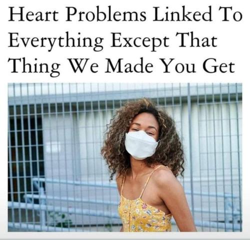 IMG_20231203_082558_057