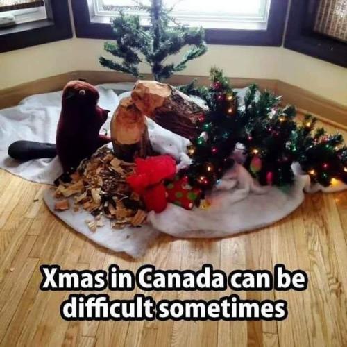 difficult in Canada