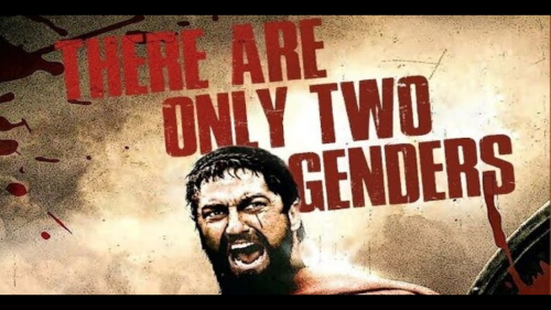 Leonidas 2 genders Gab video cover
