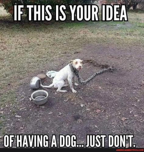 518ce1fbb7eb91c907f9ede4ad2646638e580c65f676a6e41643721bf832dd82_1